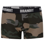 Boxer Shorts Logo 2 Pack
