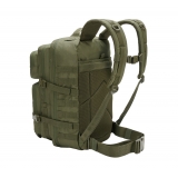 US Assault Pack Large olive