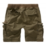 Pantalones Cortos Packham Vintage oliva