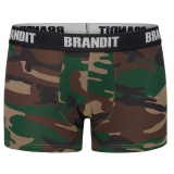 Boxer Shorts Logo 2 Pack