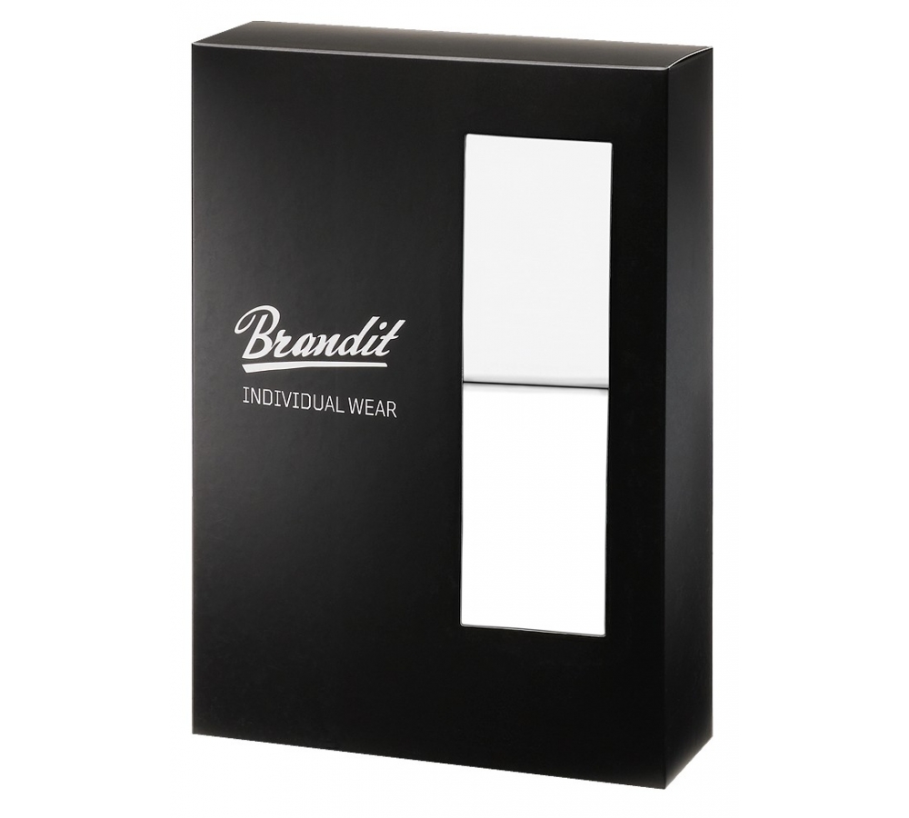 Boxer Shorts Logo 2 Pack