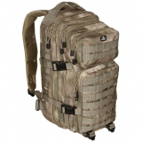 Batoh US Assault I HDT-camo FG