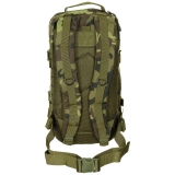 Plecak szturmowy US I M 95 CZ camo