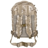US Backpack Assault II vegetato desert