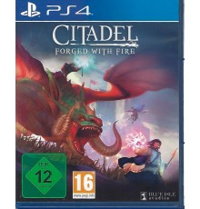 Citadel Forged with Fire PlayStation 4