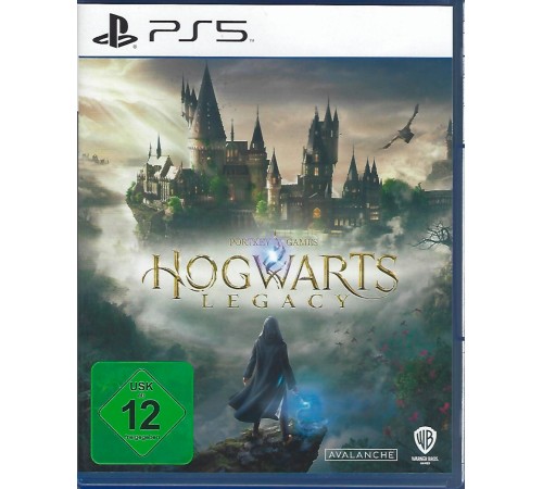 Hogwarts Legacy PlayStation 5